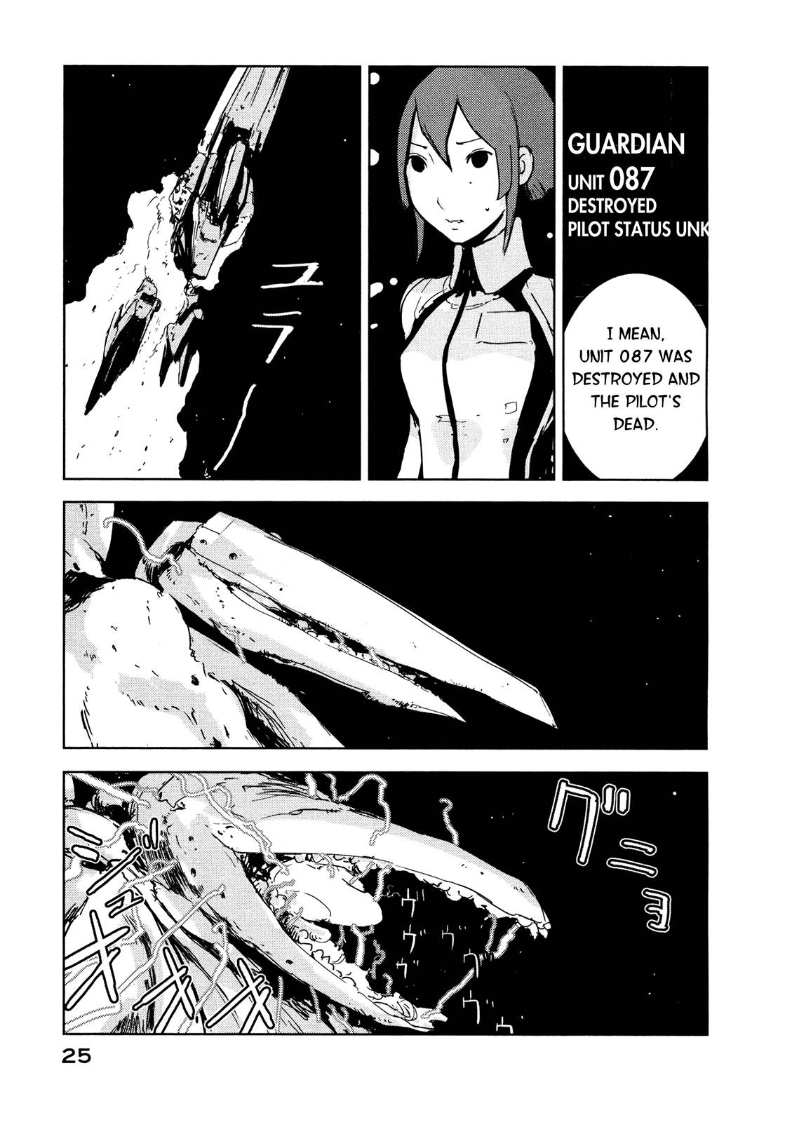 Page 25