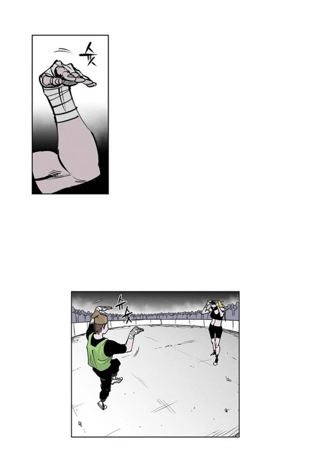 Page 101