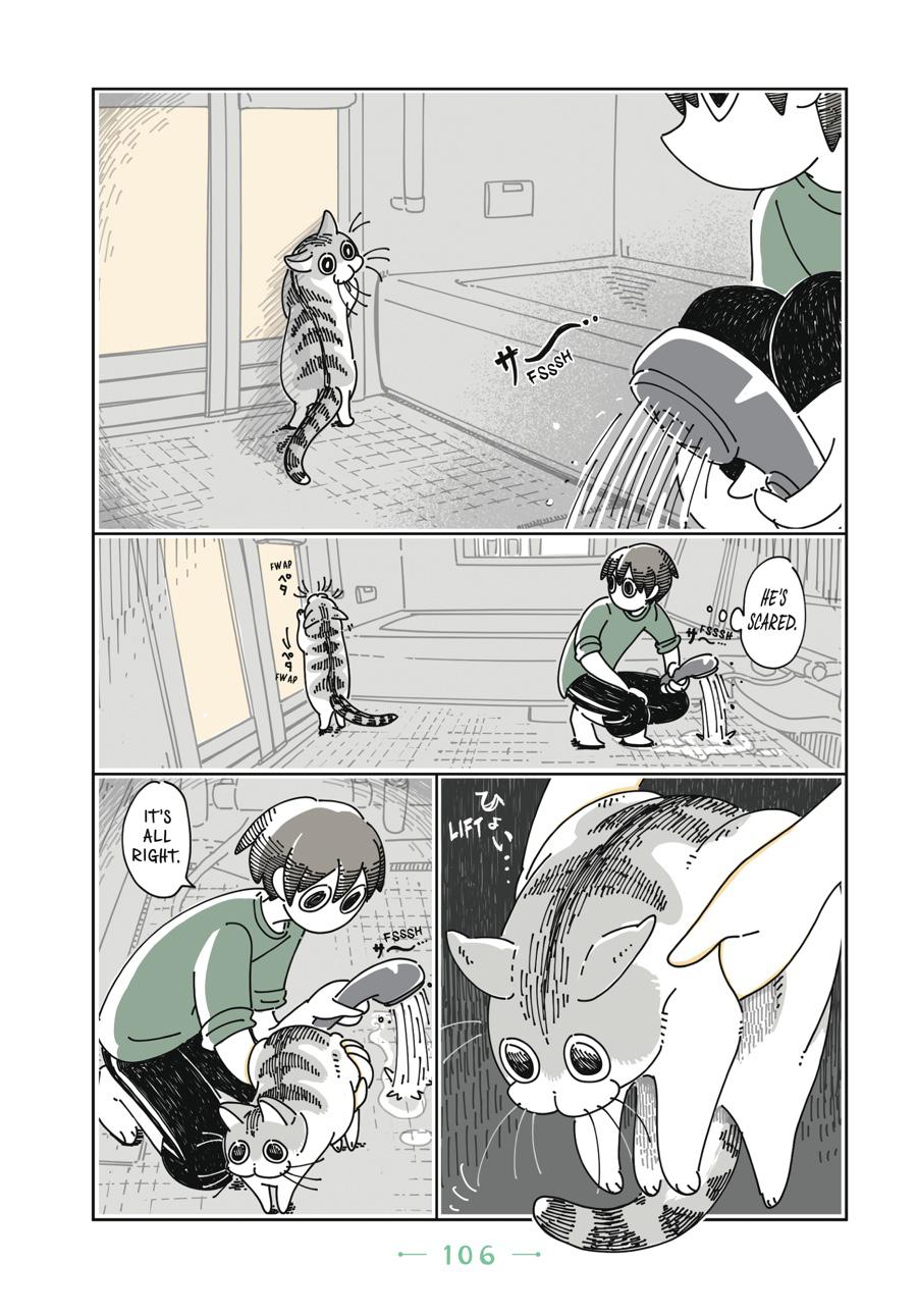 Page 106