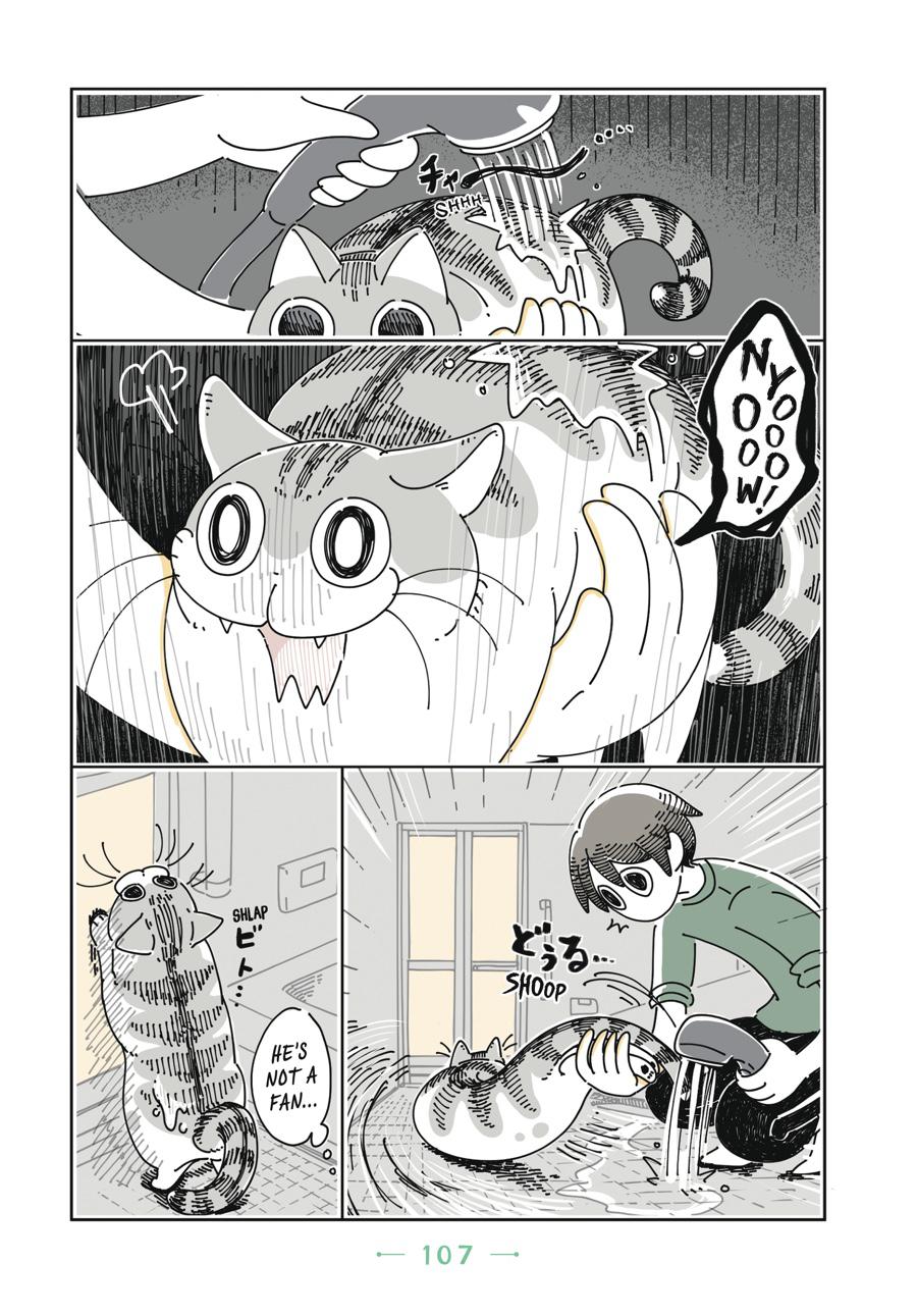 Page 107
