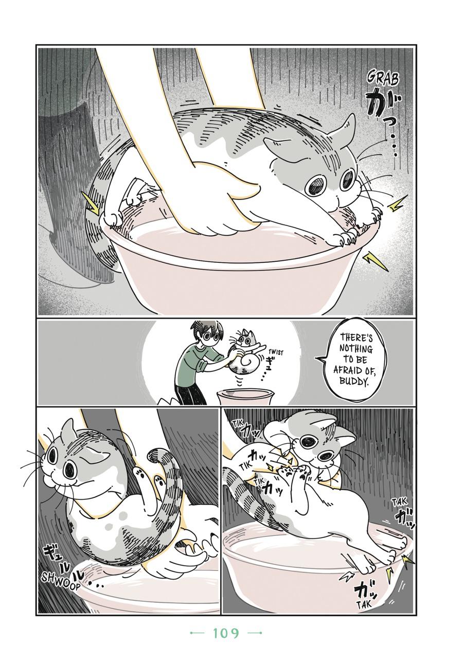 Page 109