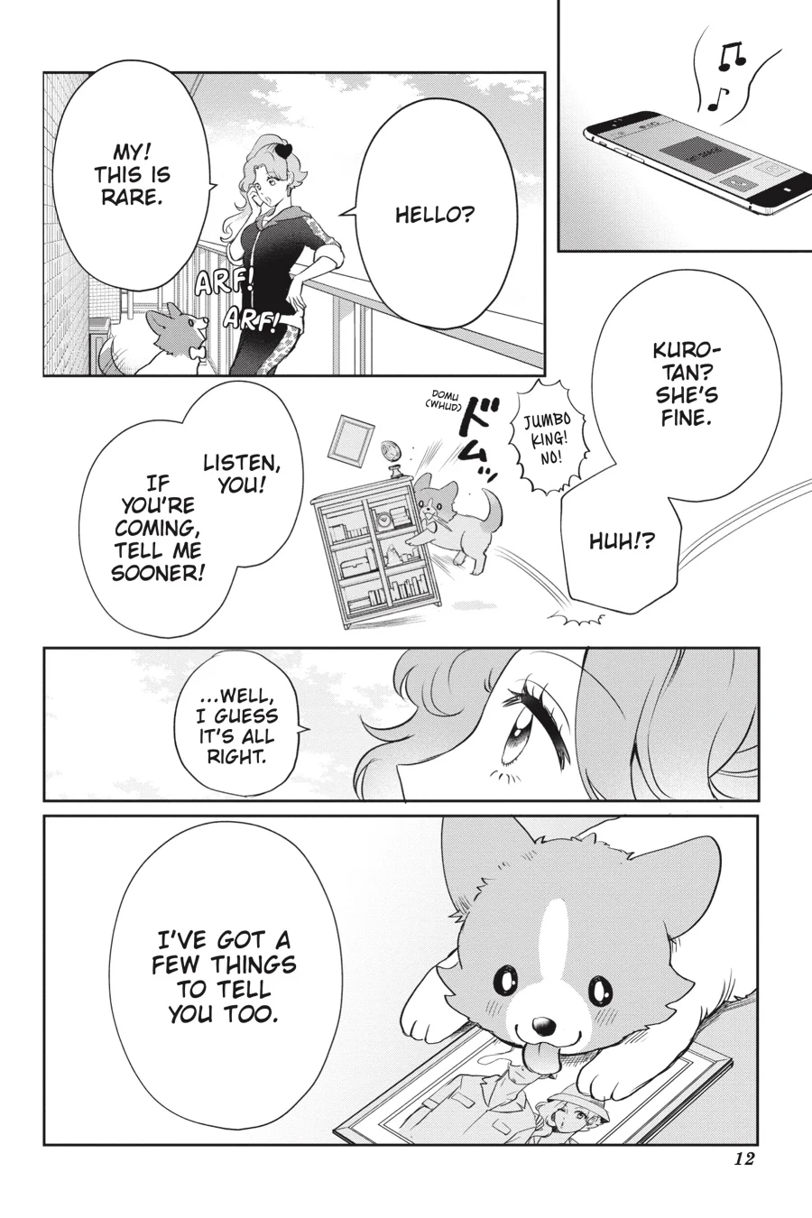 Page 12
