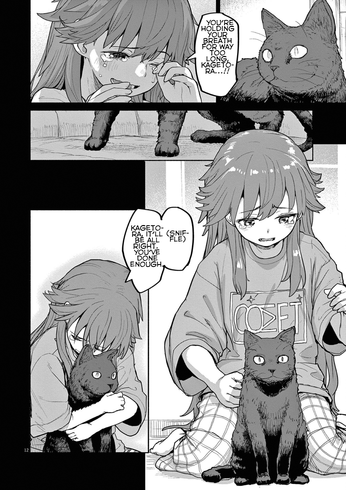 Page 12