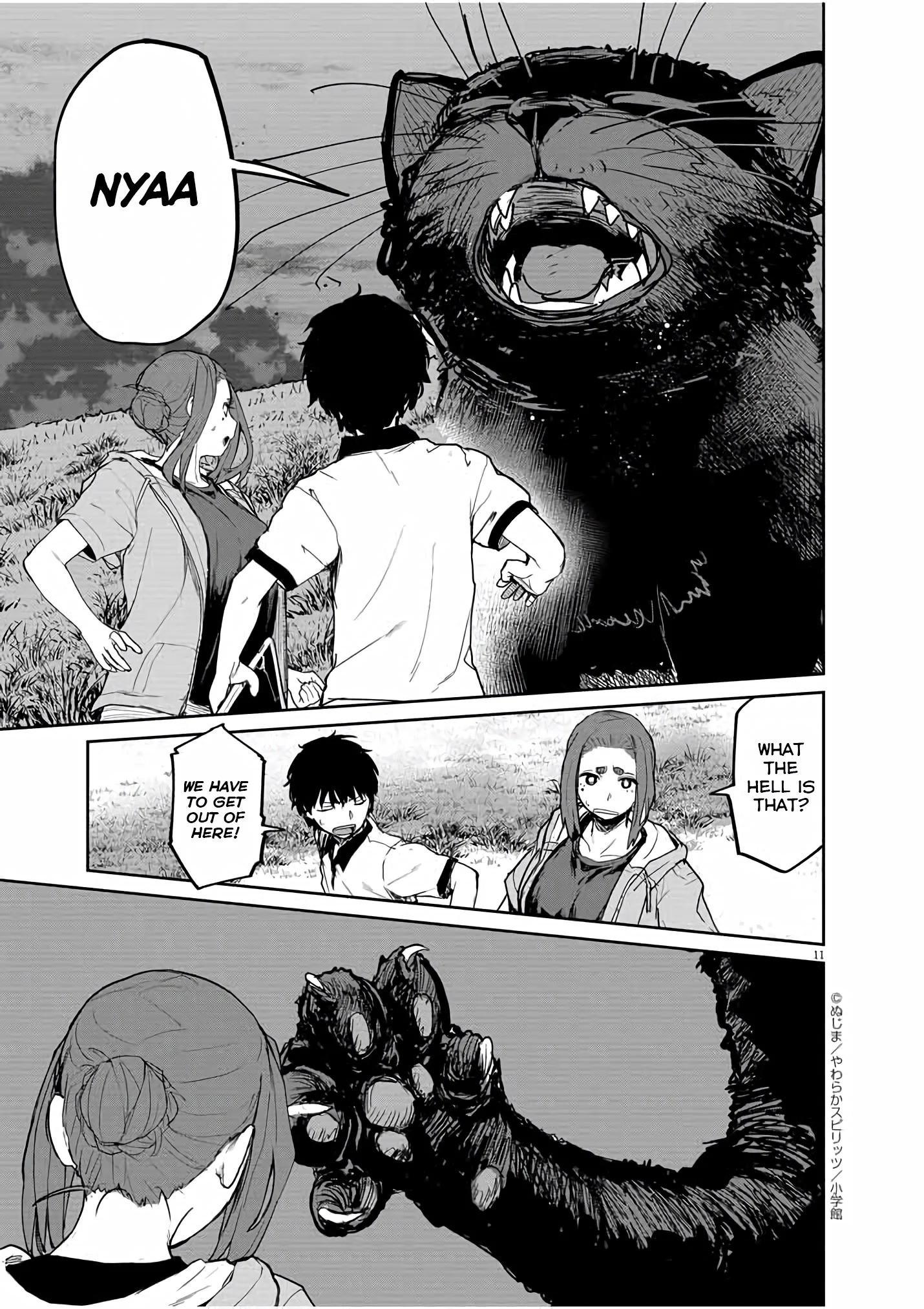Page 11