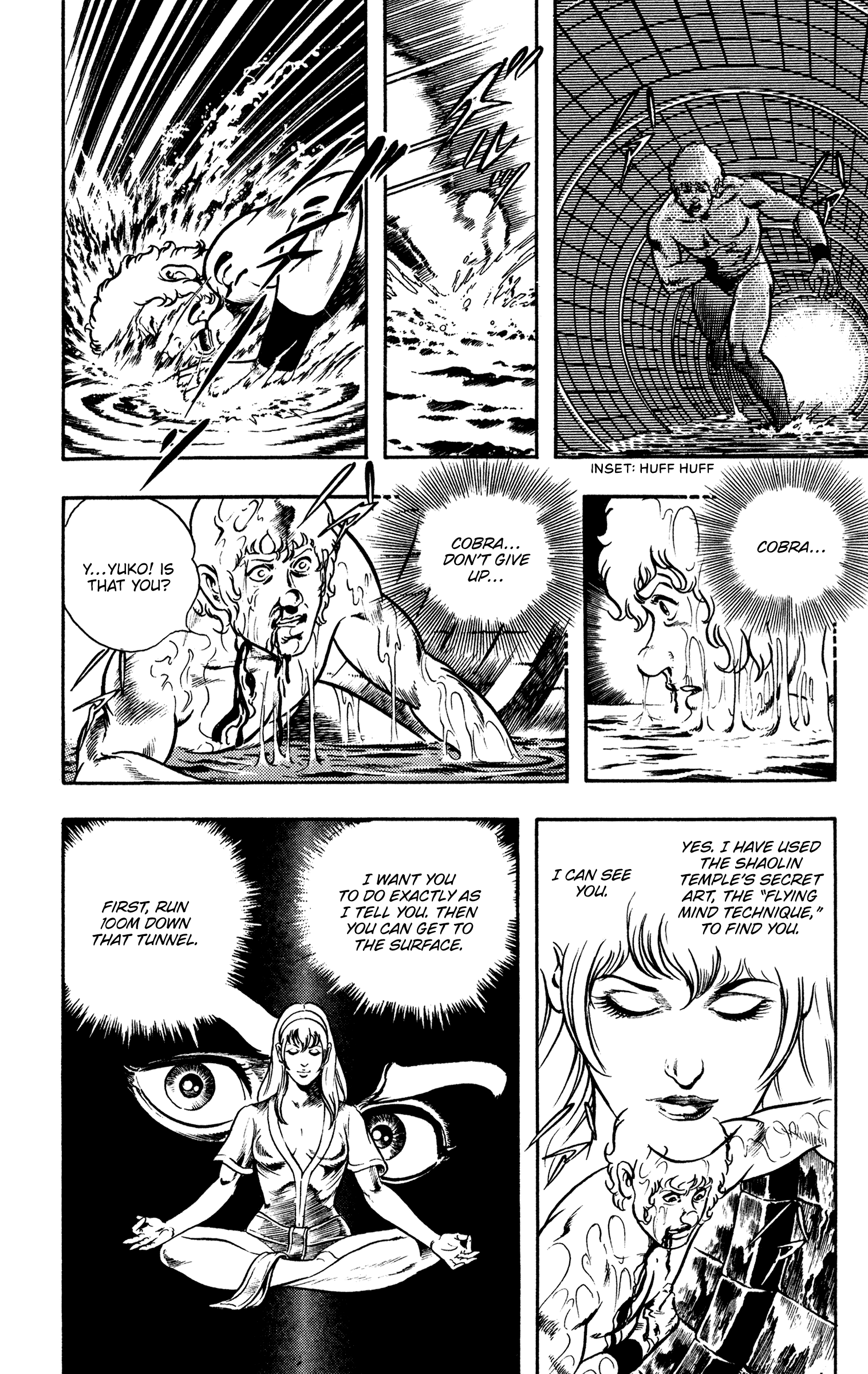 Page 111