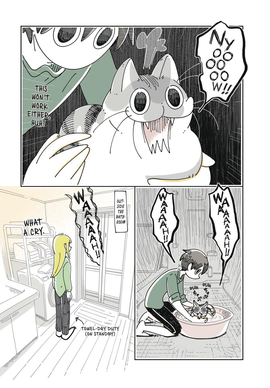 Page 111