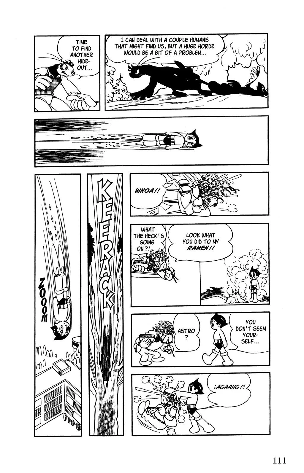 Page 111