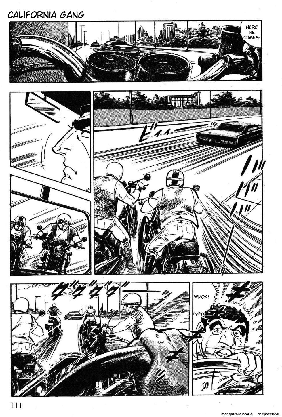 Page 113