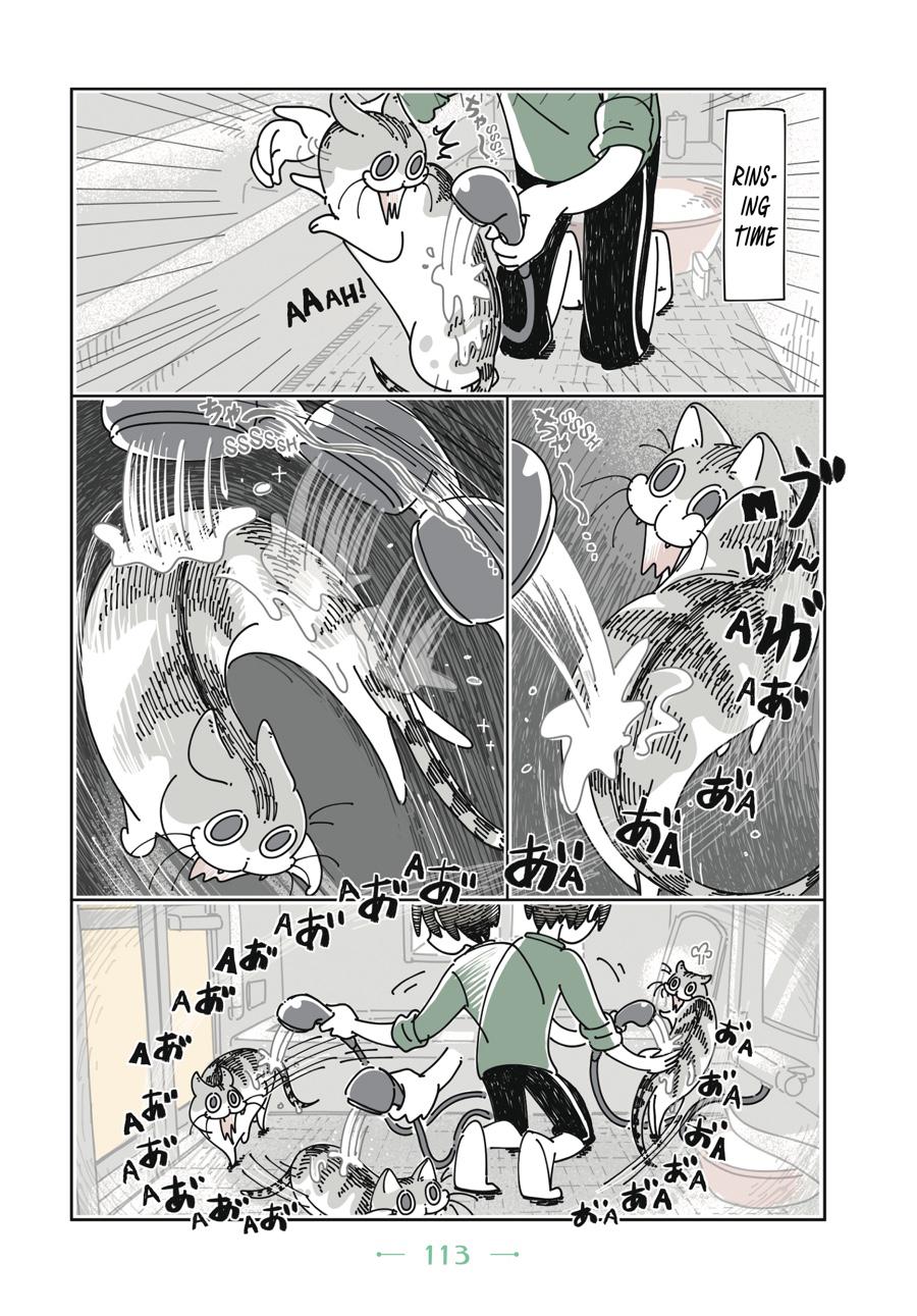 Page 113