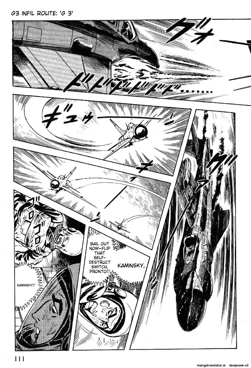 Page 113