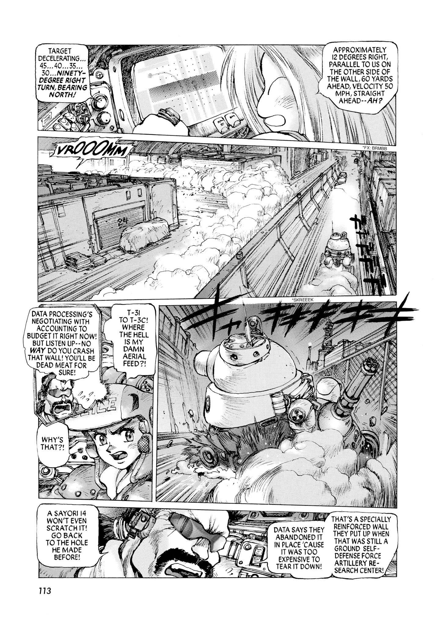 Page 113