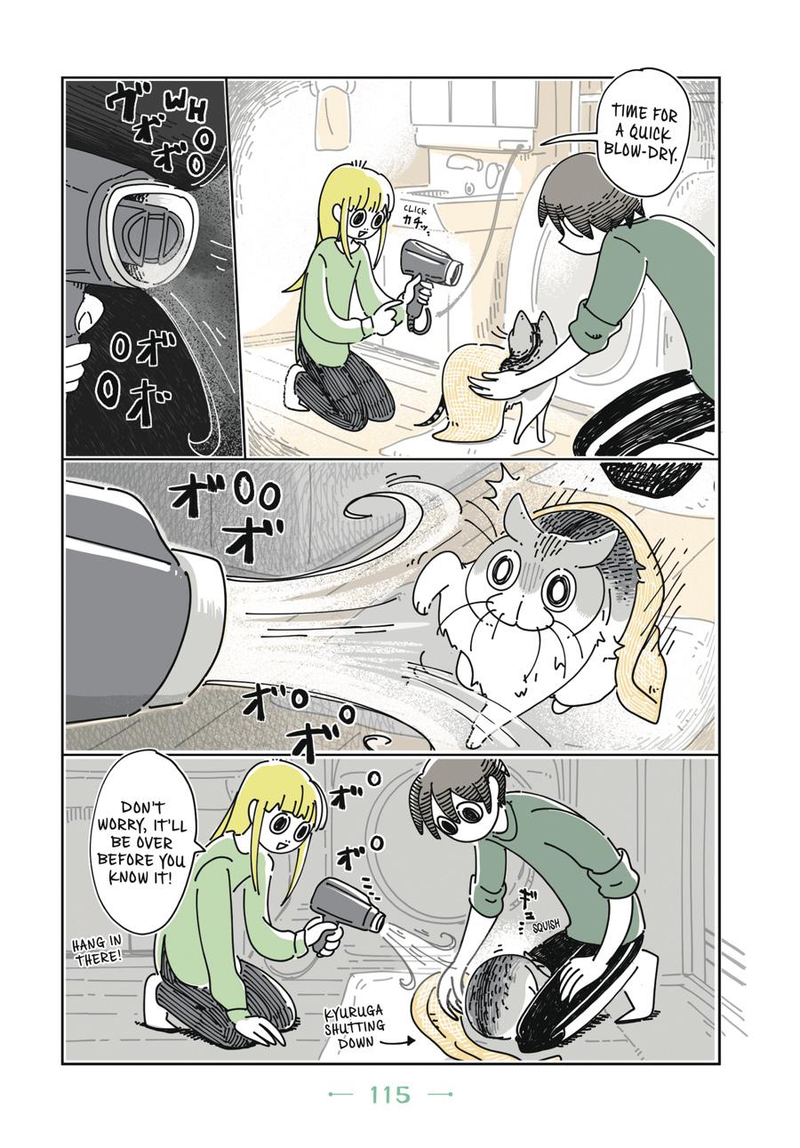 Page 115