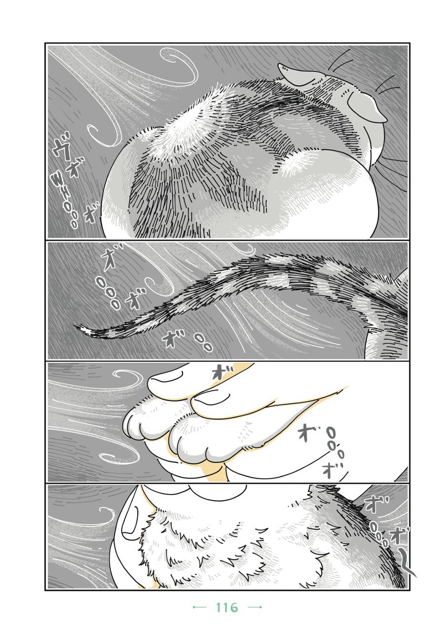 Page 116