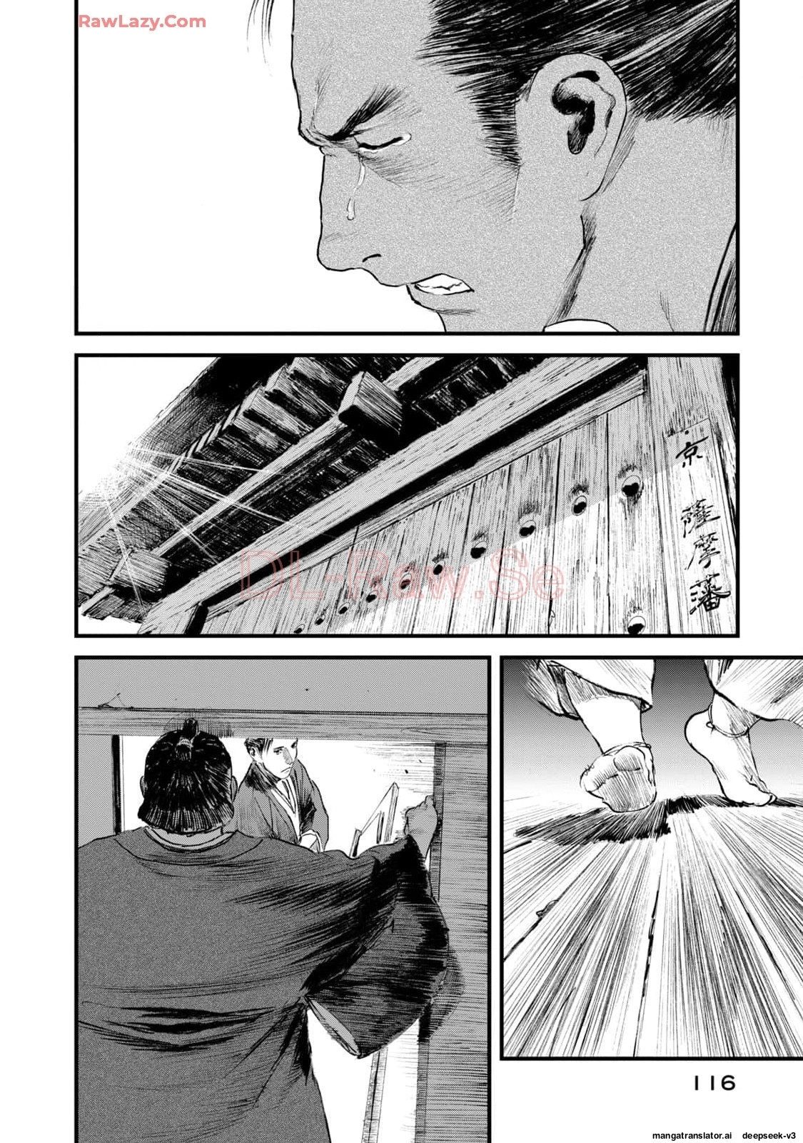 Page 117