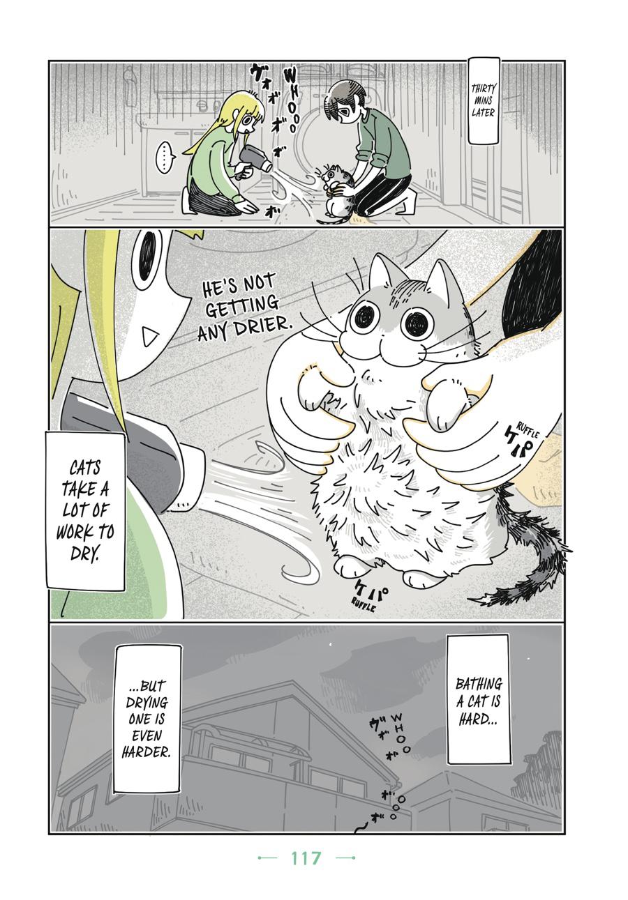 Page 117