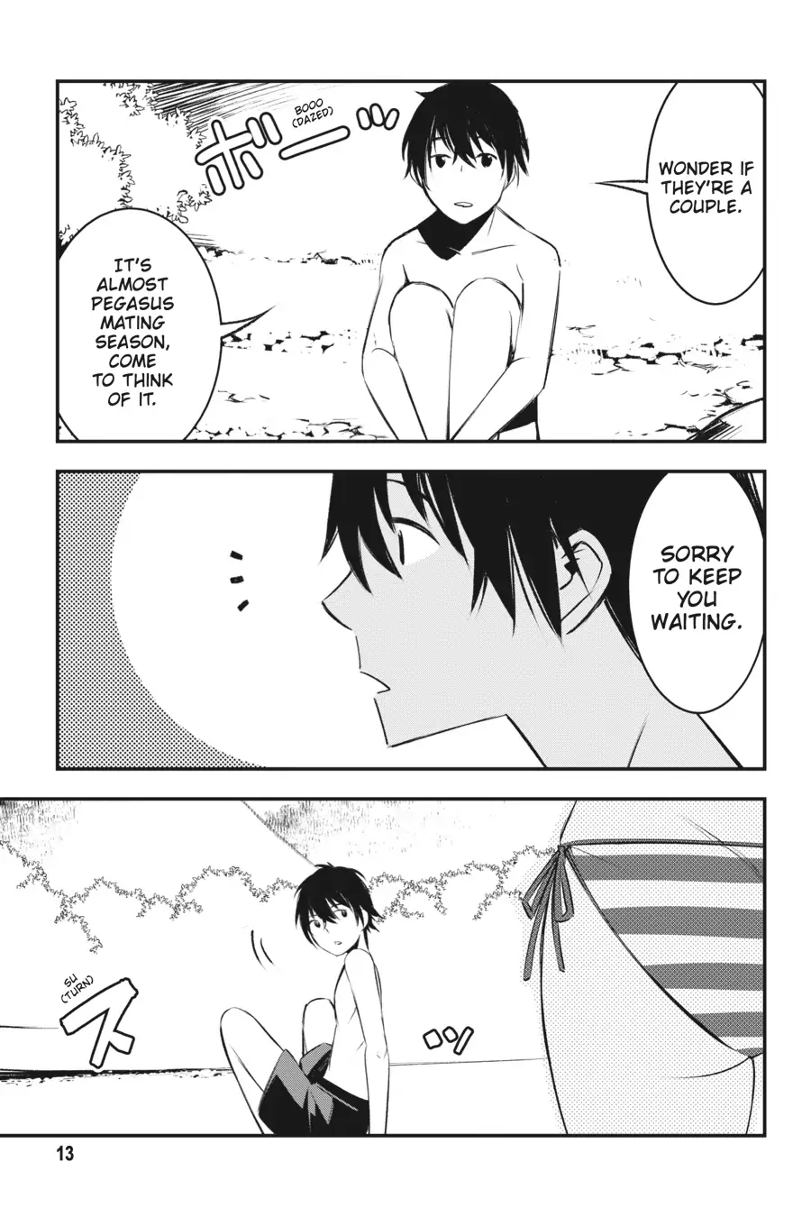 Page 13