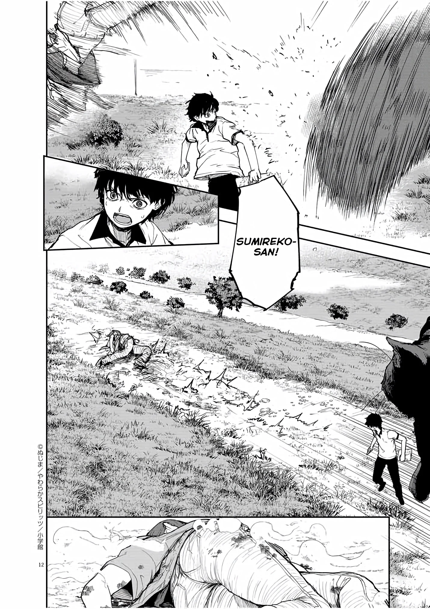 Page 12
