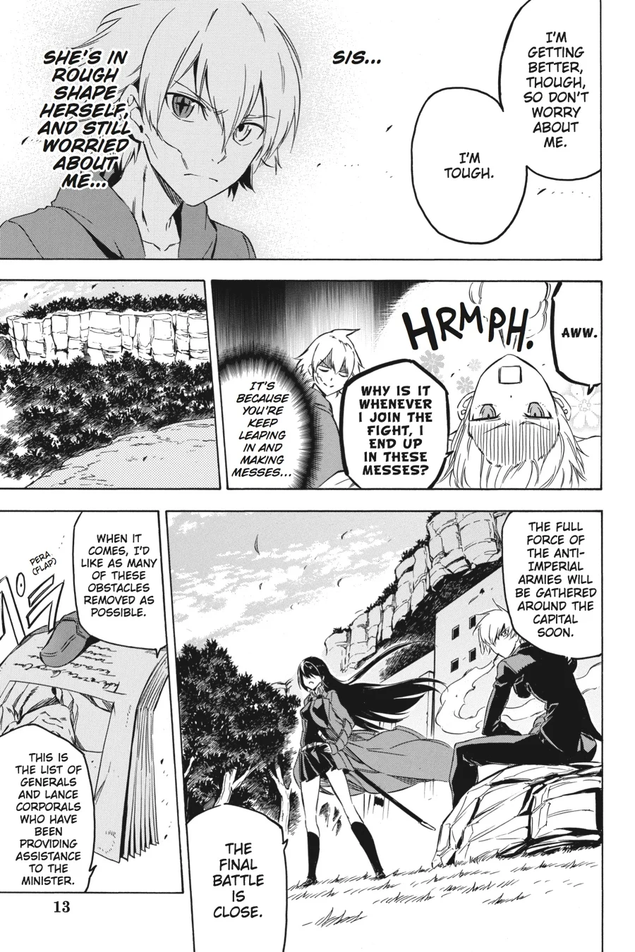 Page 13