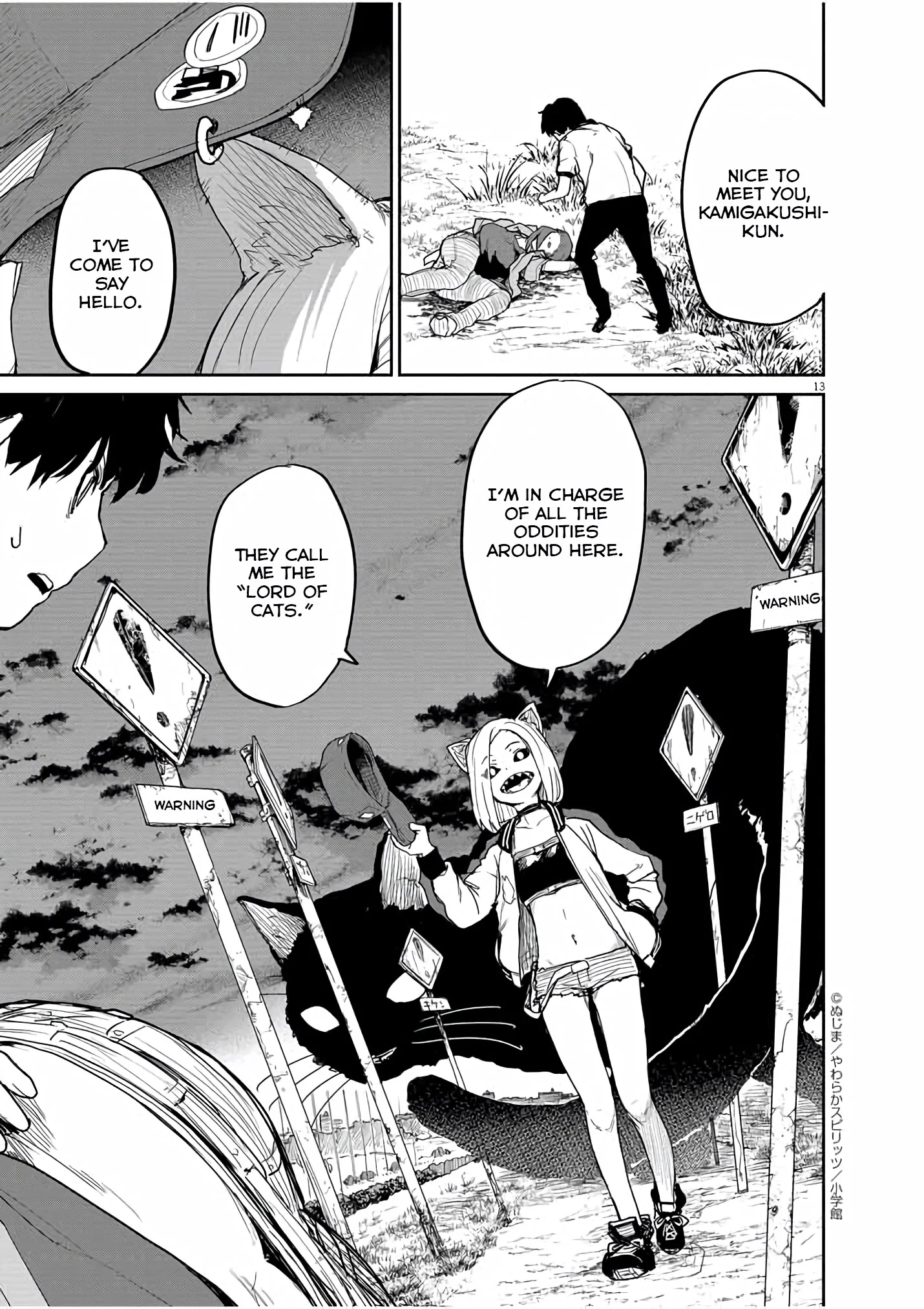 Page 13