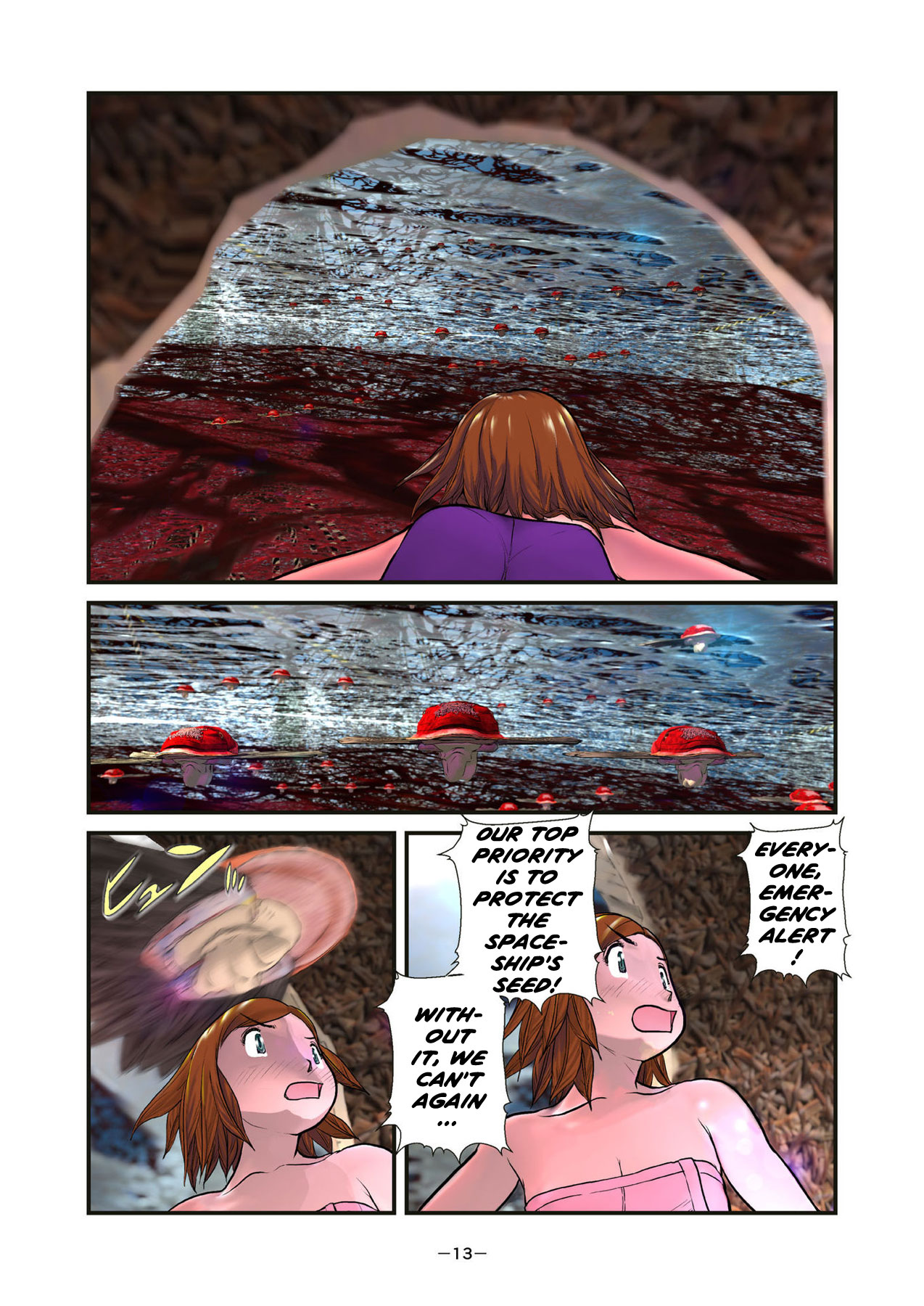 Page 13