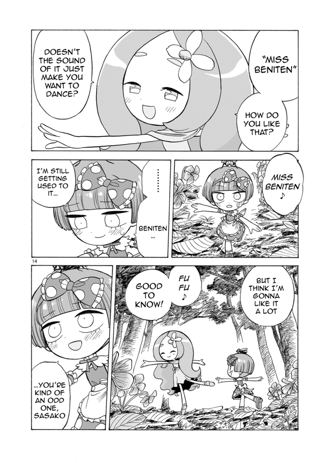 Page 14