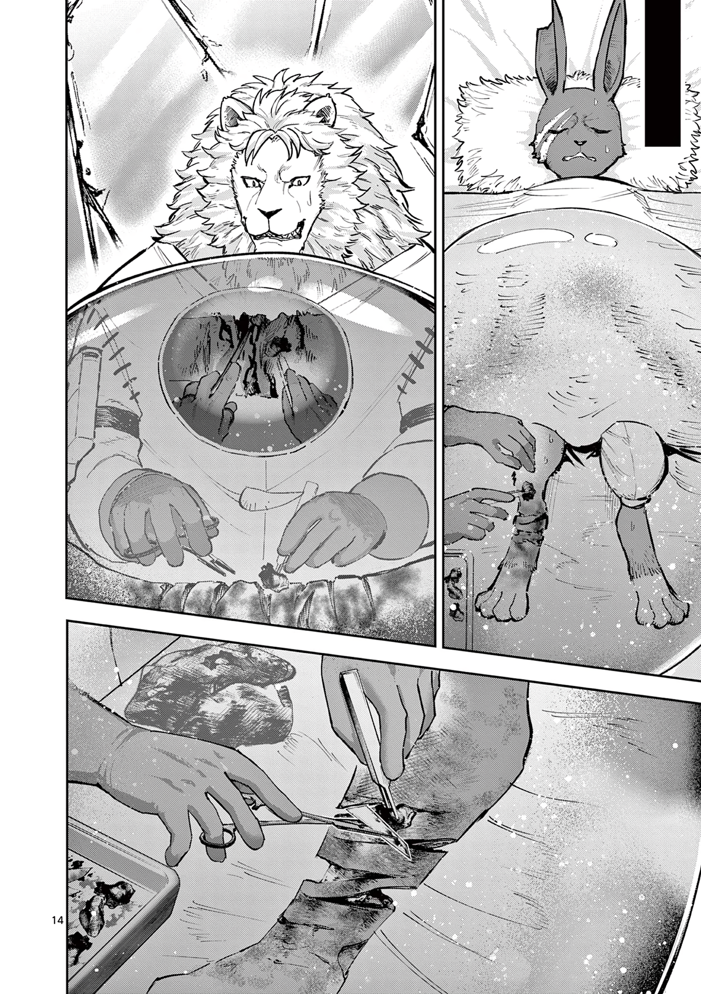 Page 14