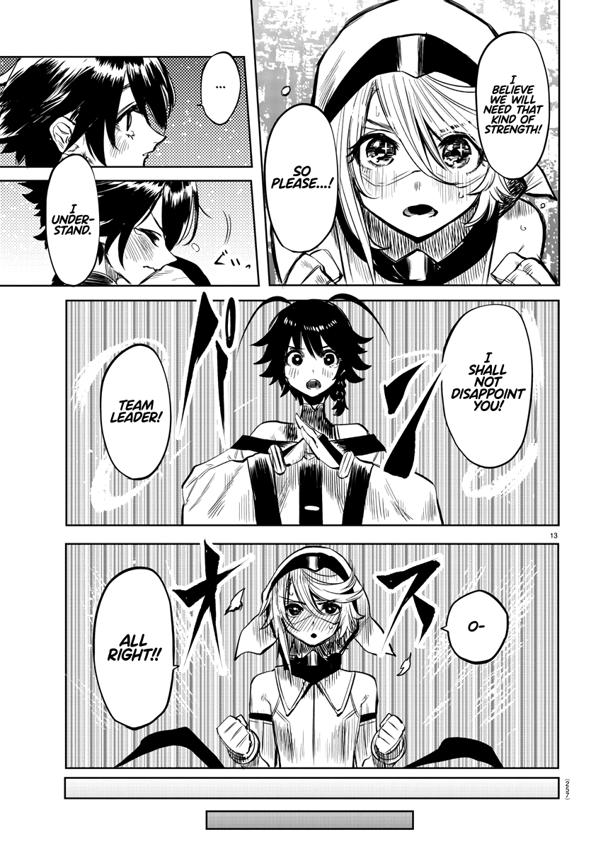 Page 13