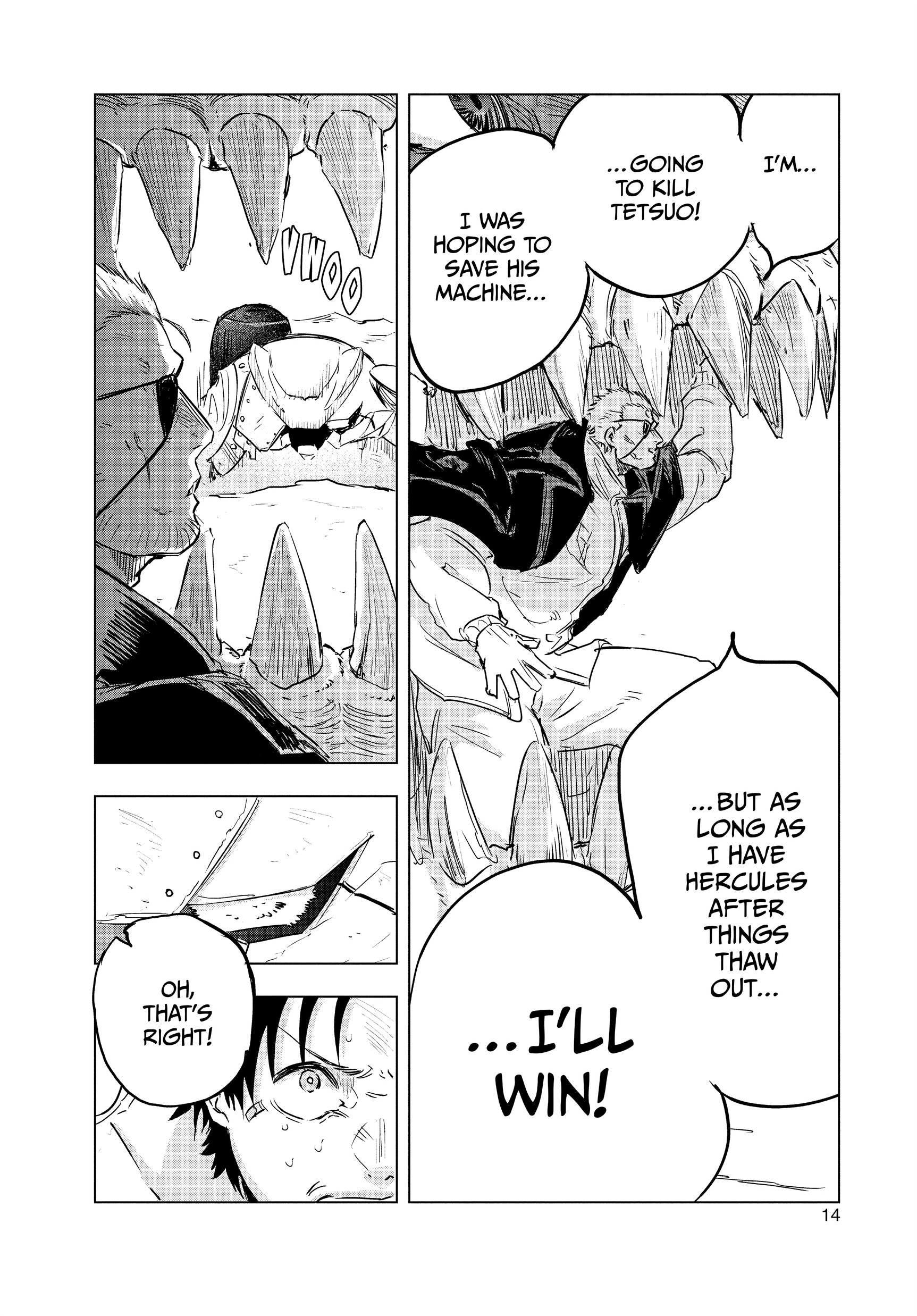 Page 14
