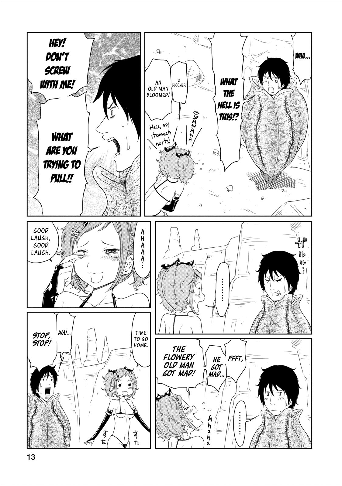 Page 13