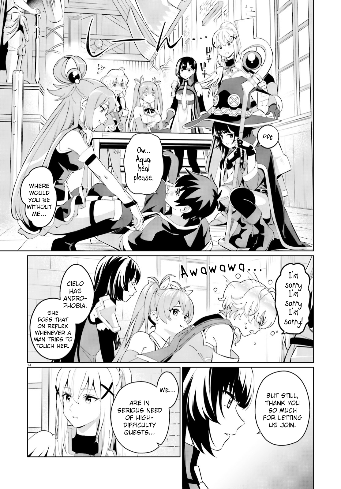 Page 14