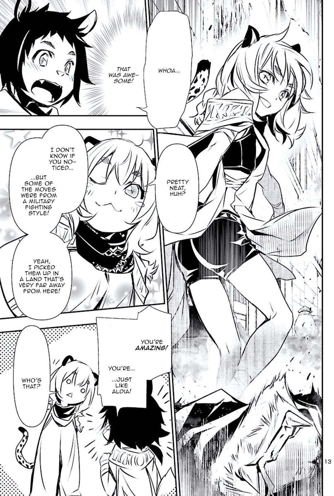 Page 13