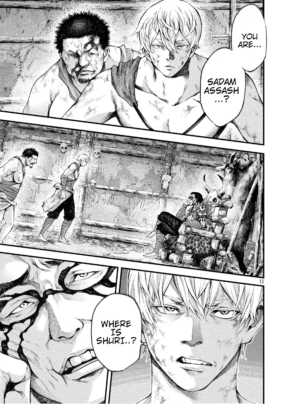 Page 13