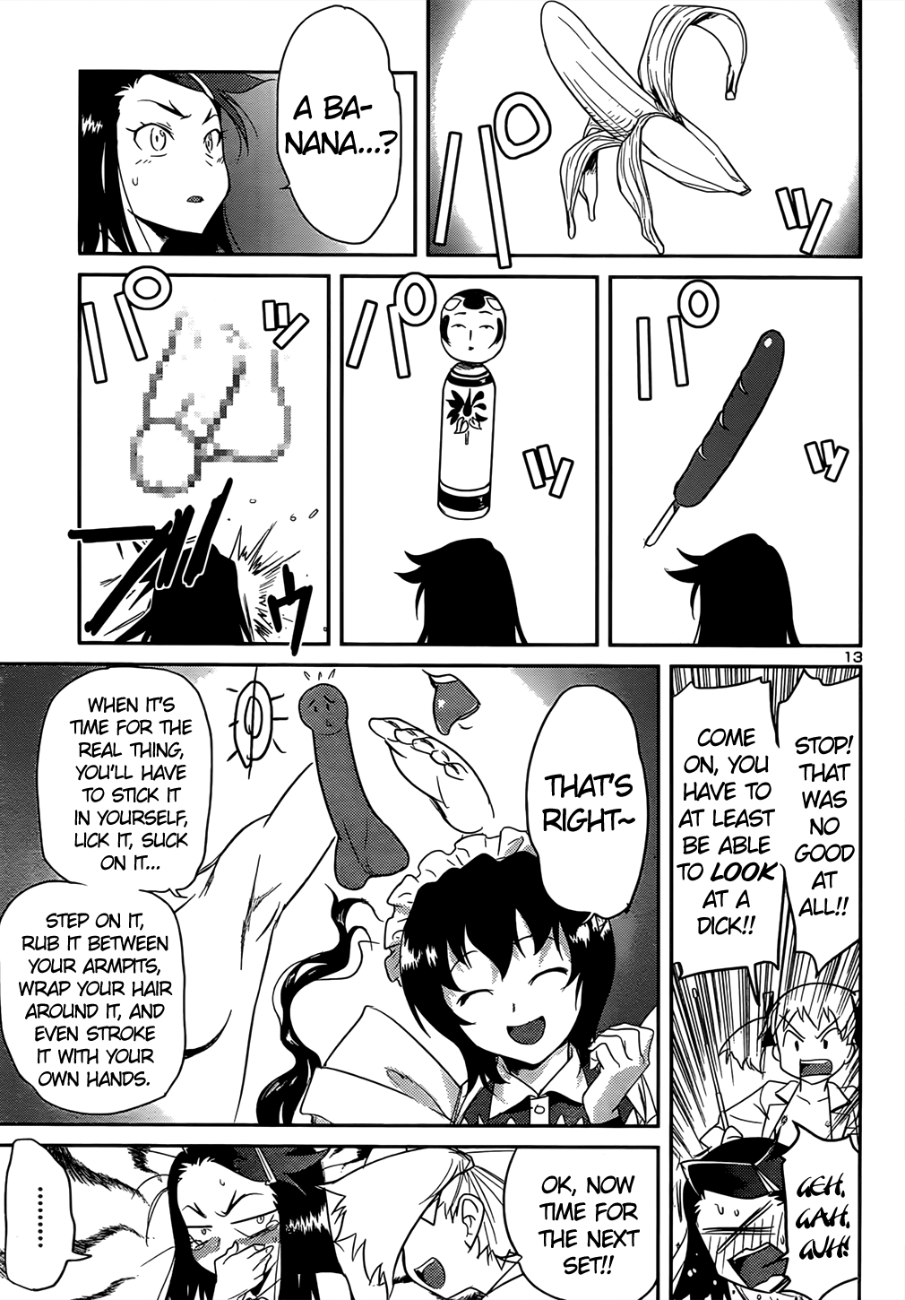Page 13