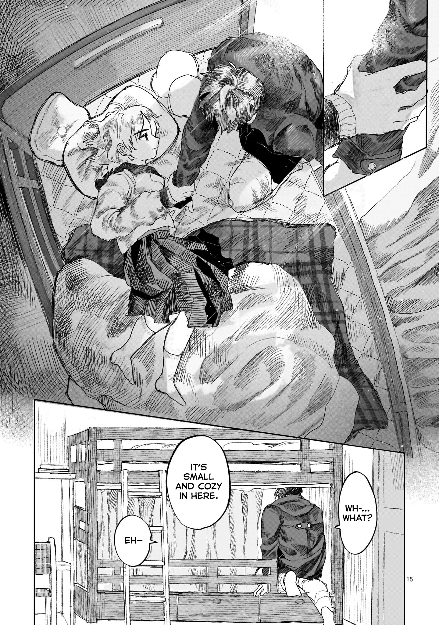 Page 15