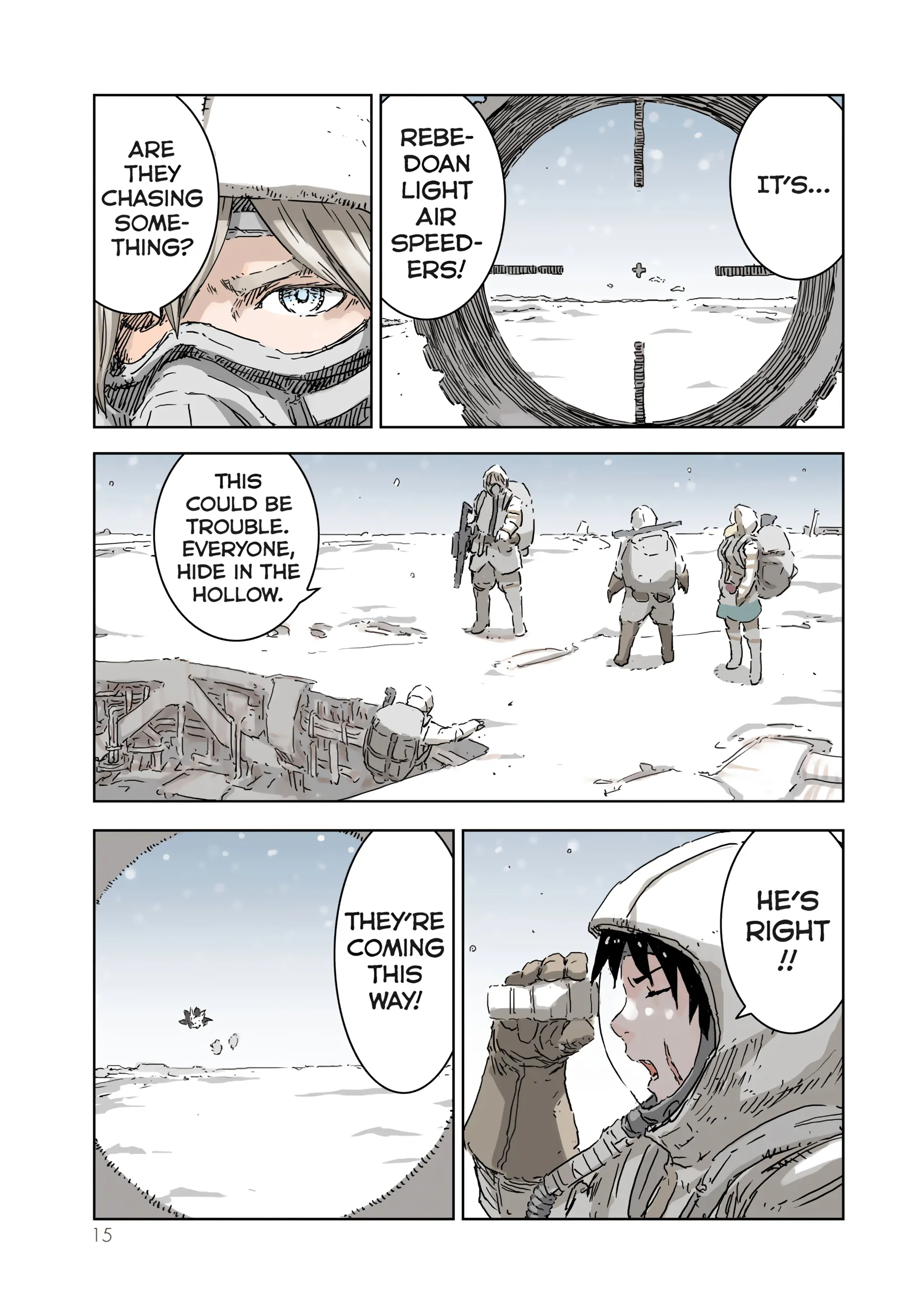 Page 15