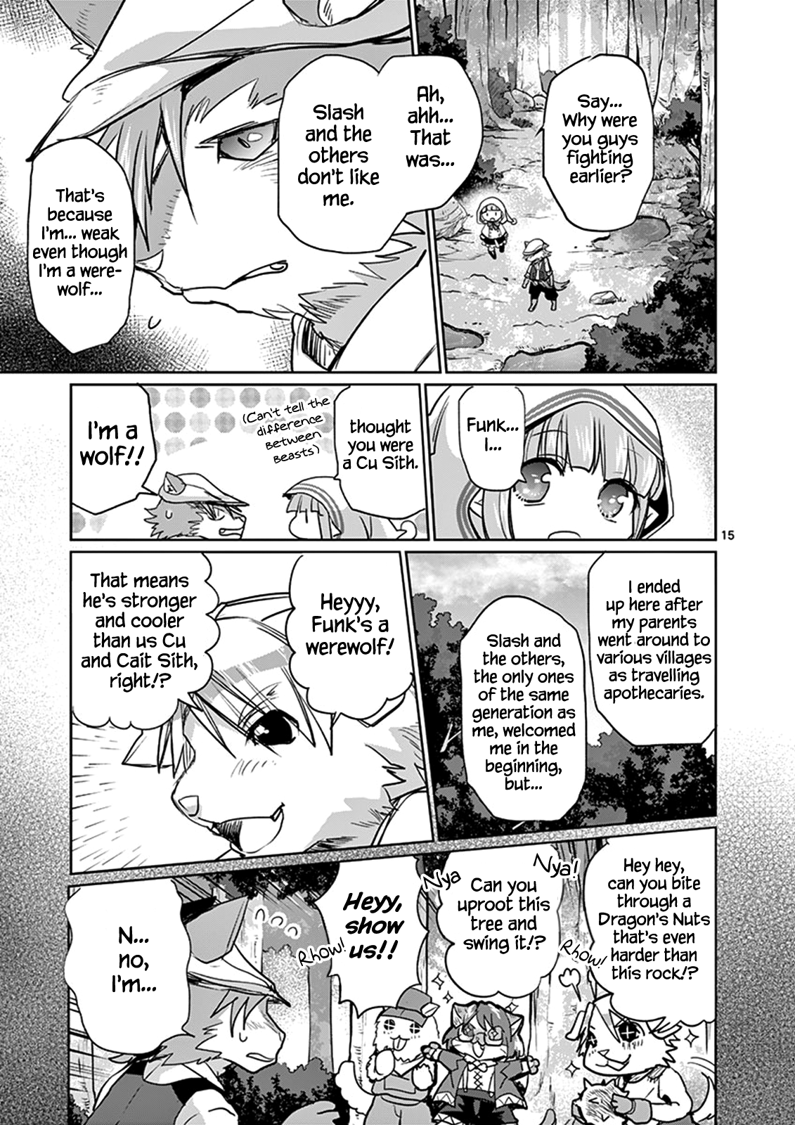 Page 15