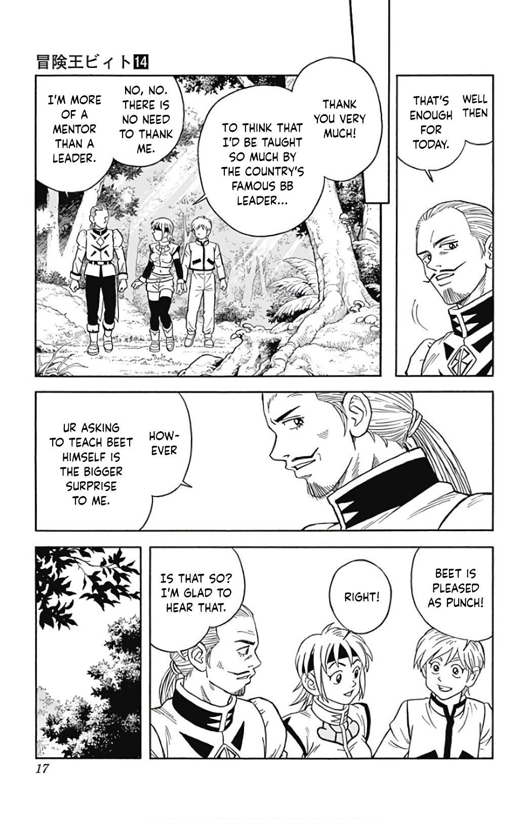 Page 17