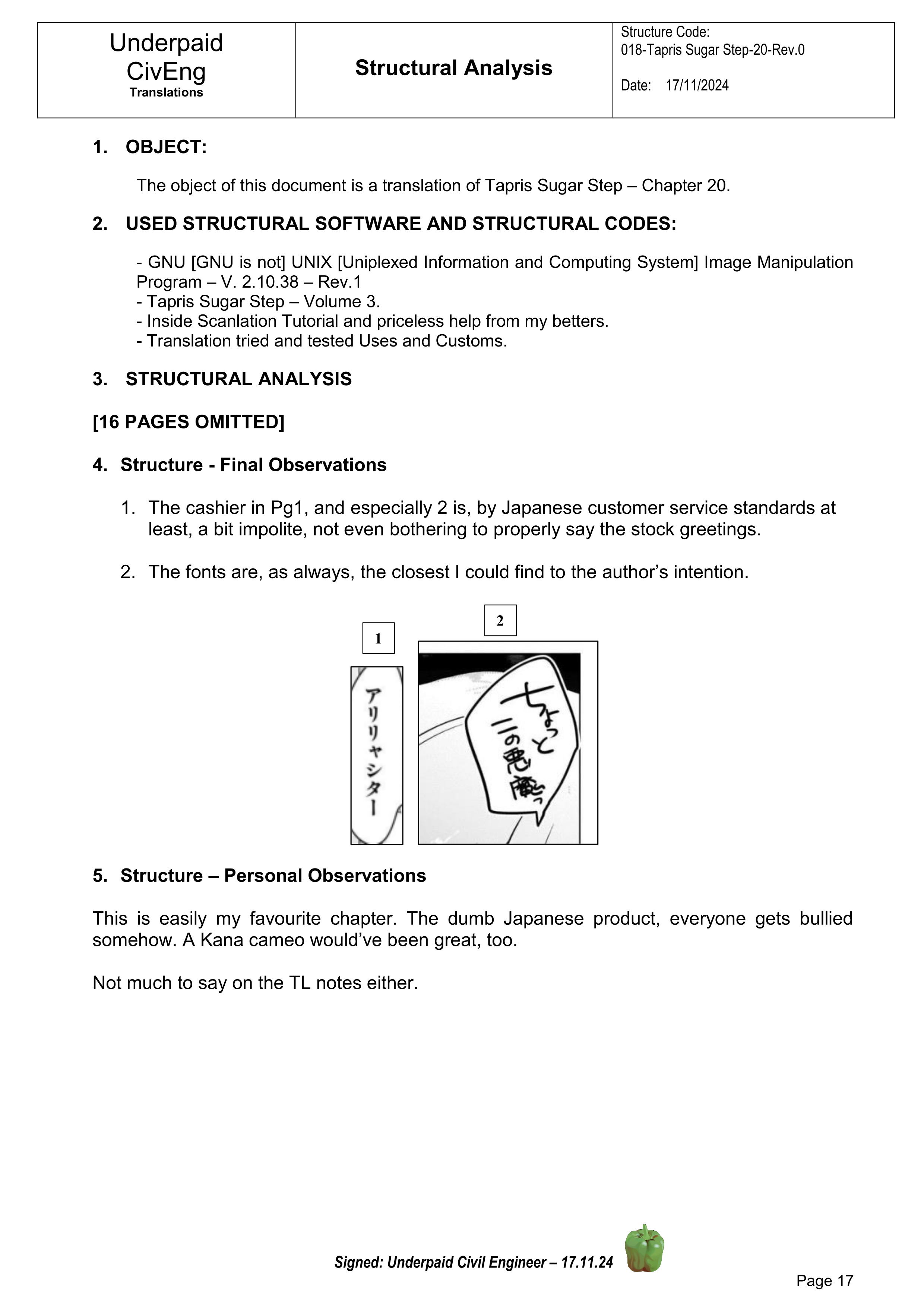 Page 17