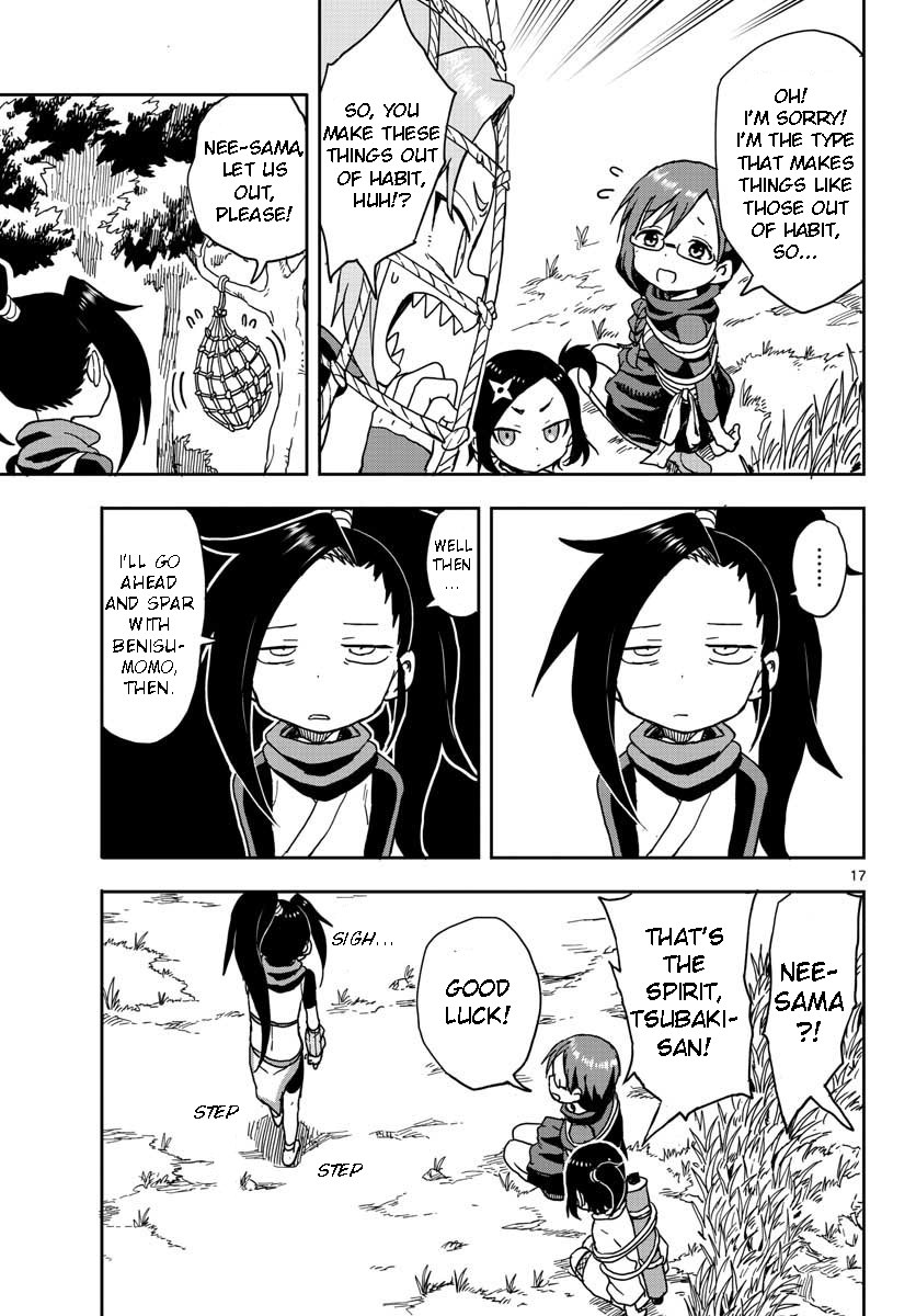 Page 17