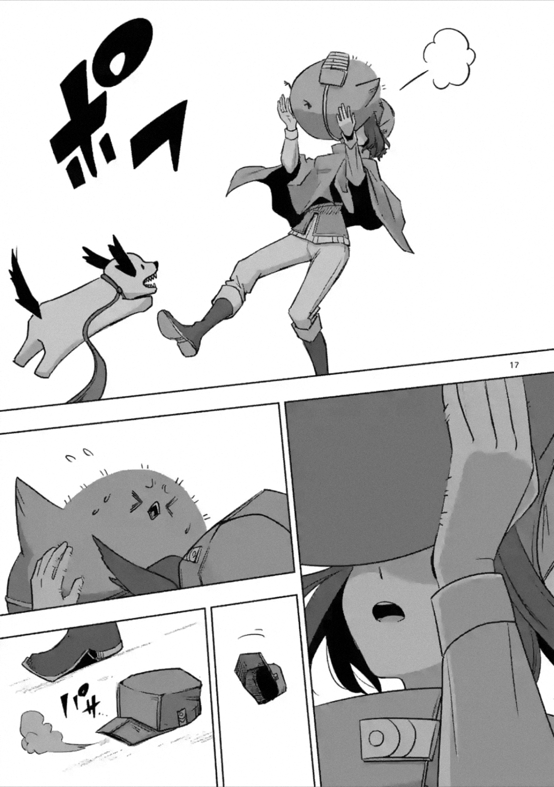 Page 17
