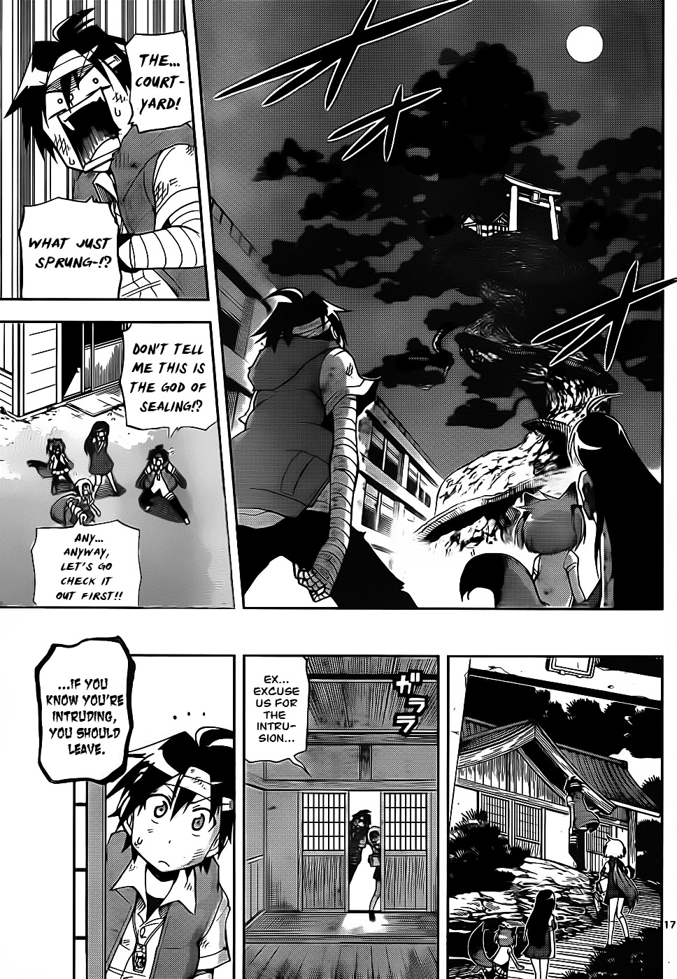 Page 17