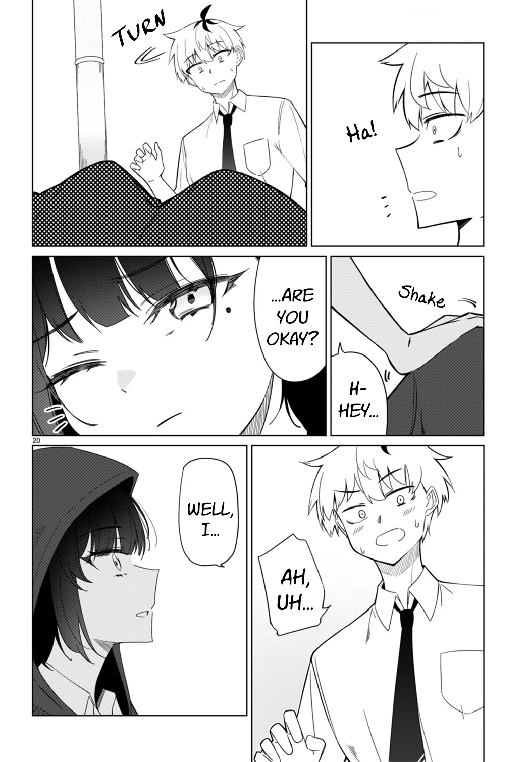 Page 20
