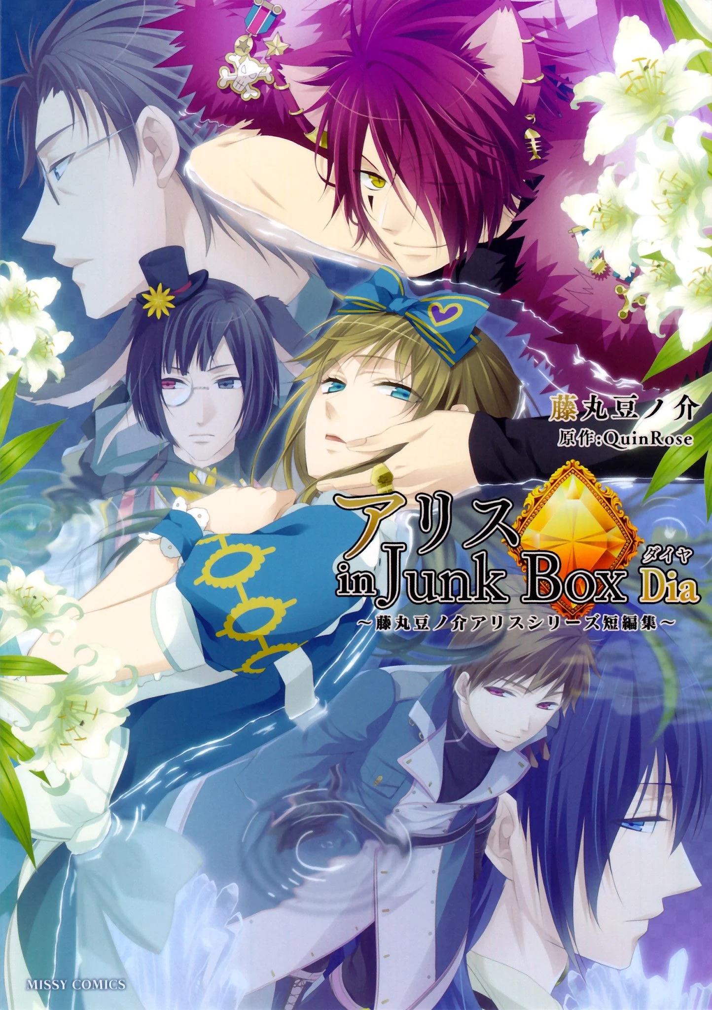 Alice in Junk Box  ~Dia~