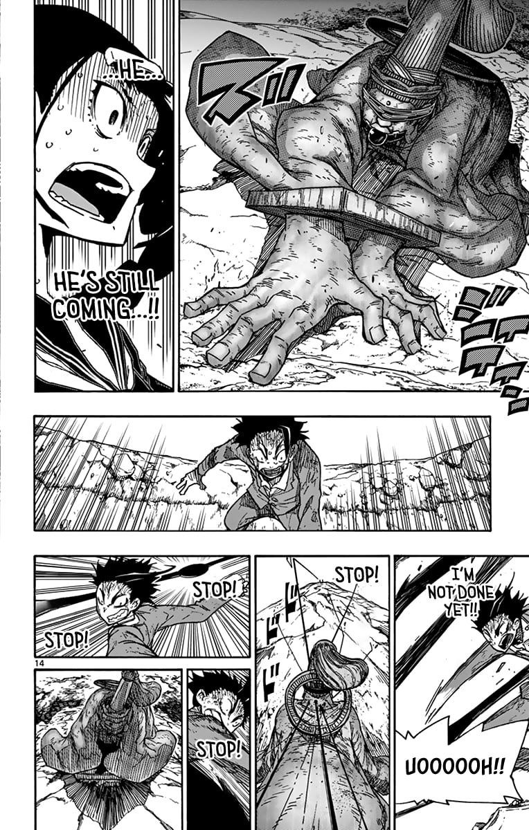 Page 14