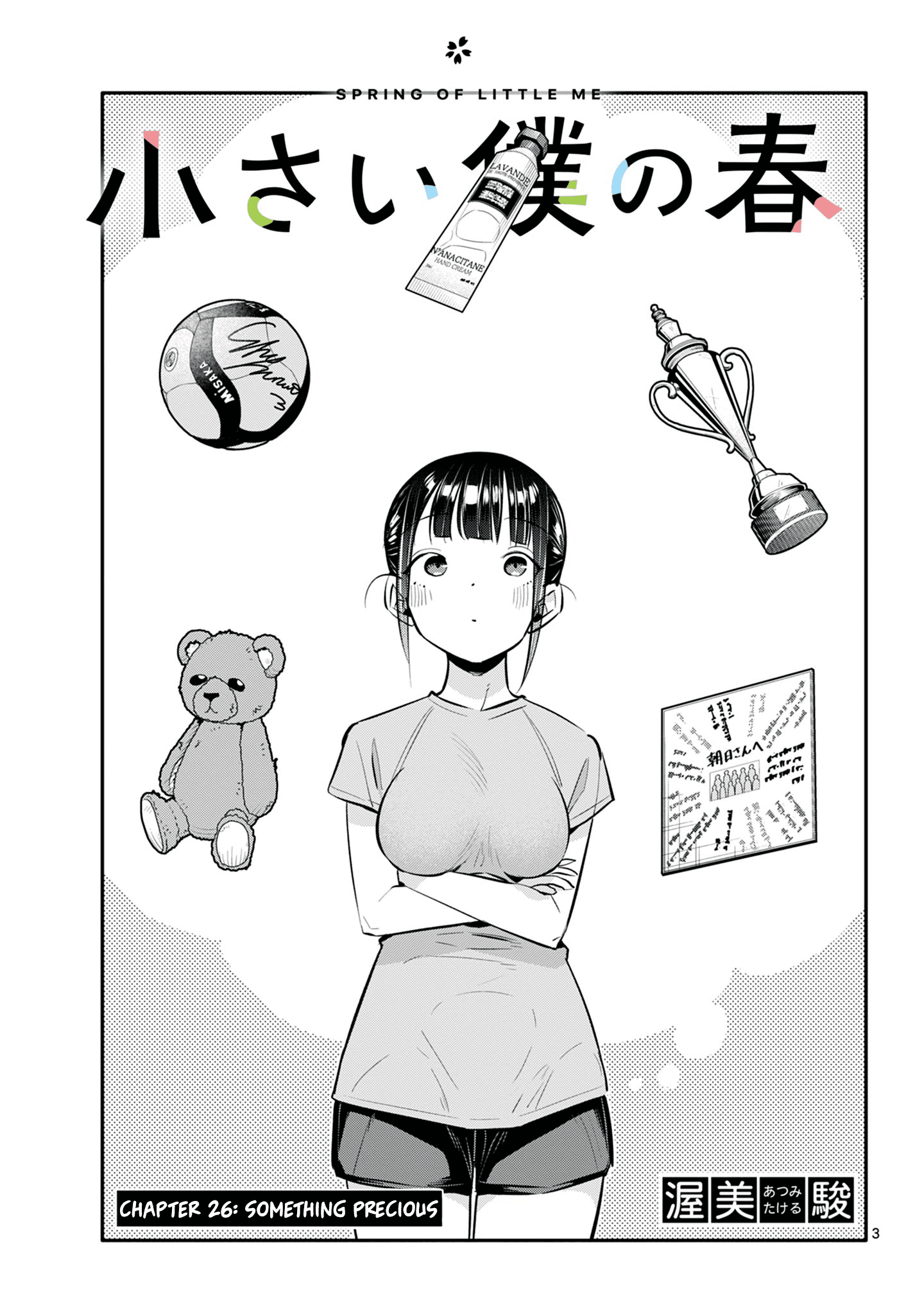 Page 3