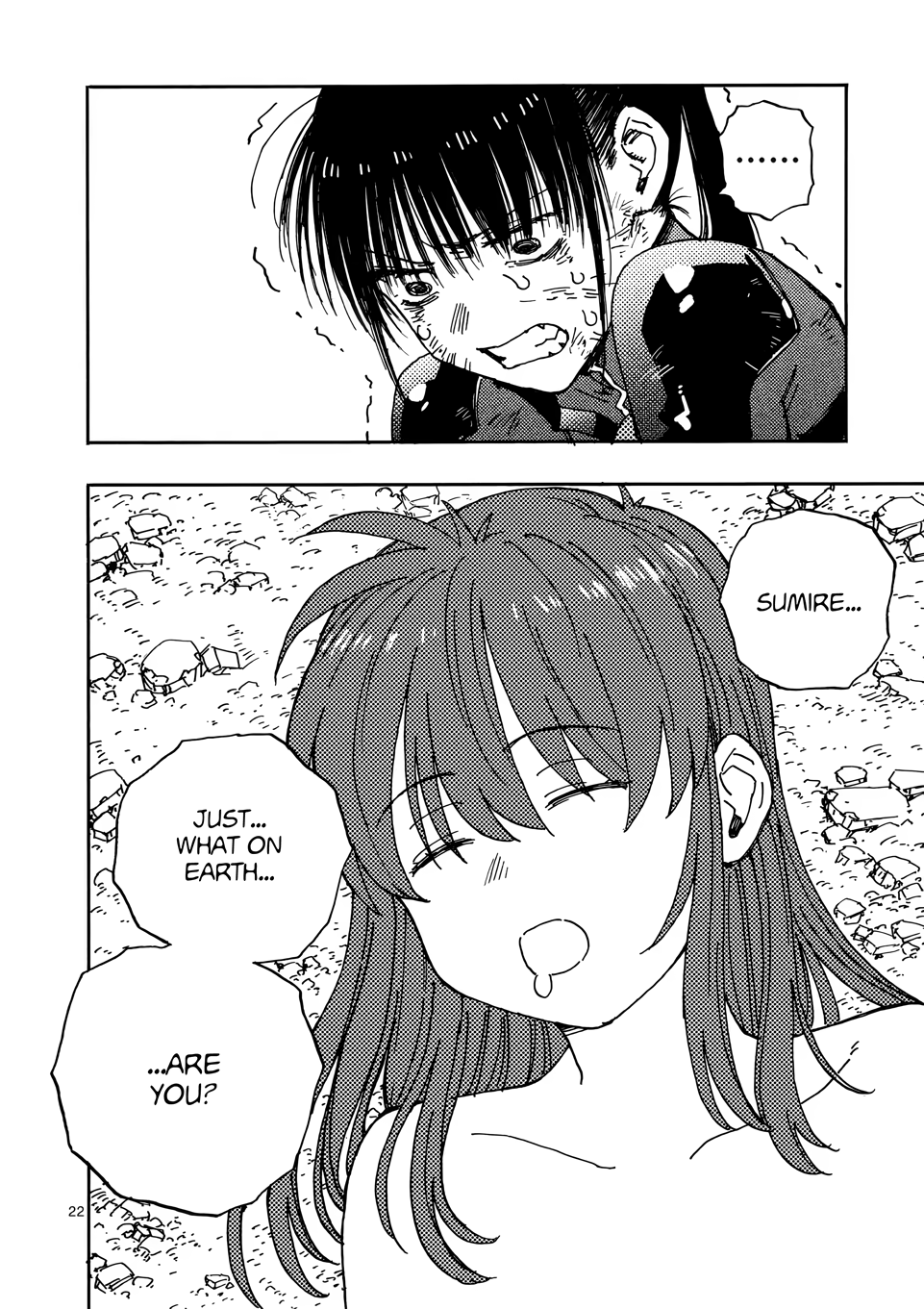 Page 22