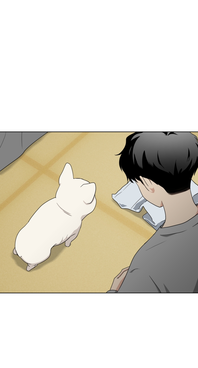 Page 223