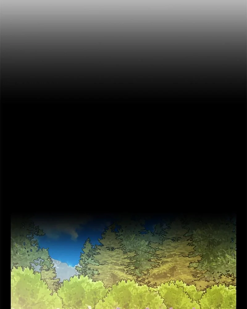 Page 223