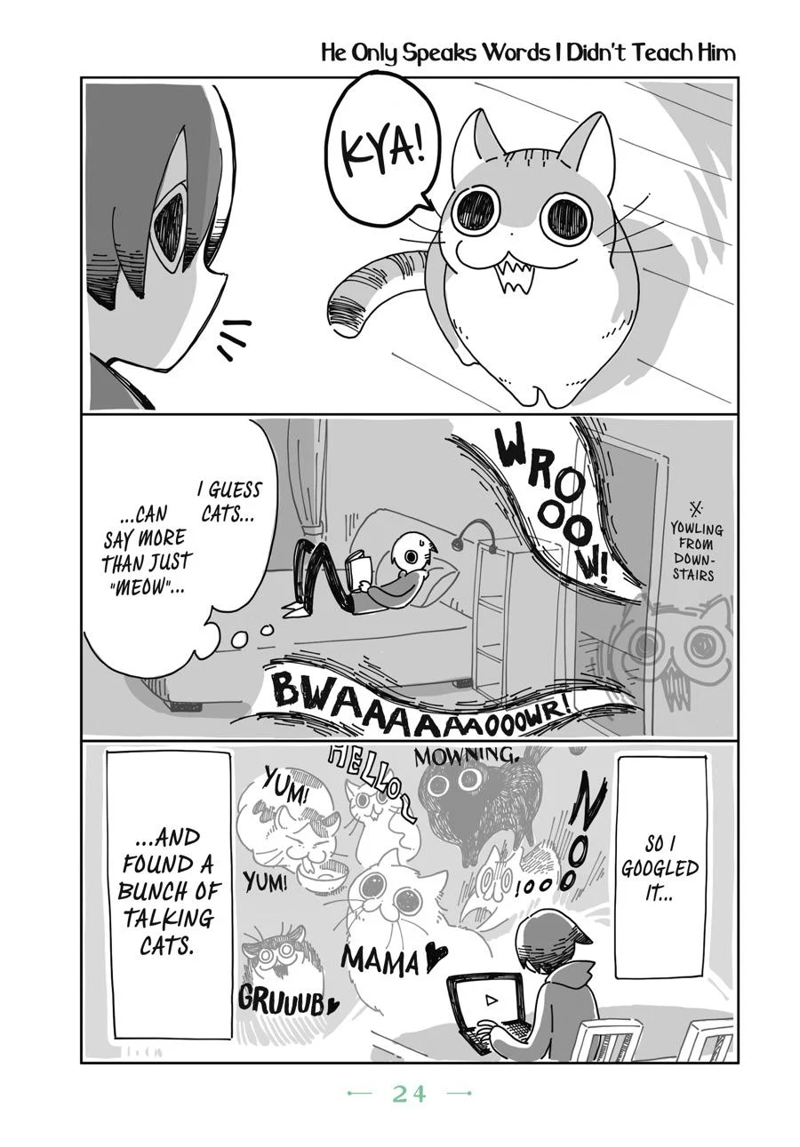 Page 24