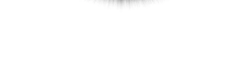 Page 238